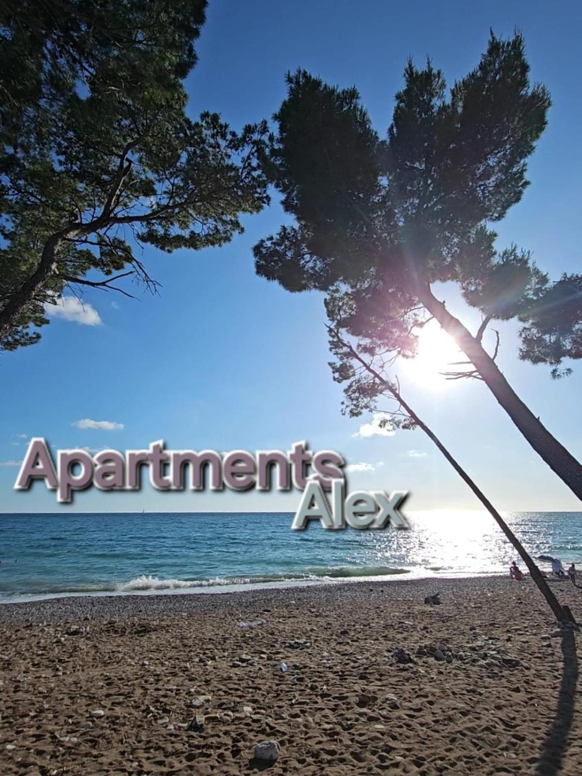 Apartment Alex